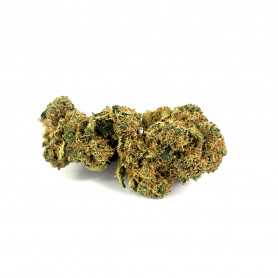 Fleur de CBD Cannatonnic Big Bud