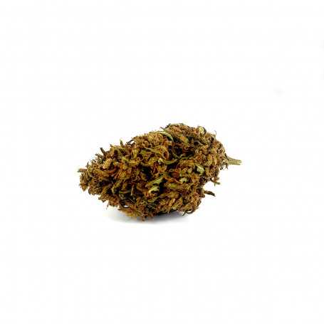 Fleur de CBD Lemon