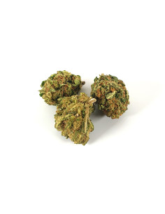 Fleur de cbd AK 47 ismoke 31 boutique cbd toulouse